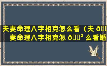 夫妻命理八字相克怎么看（夫 🌷 妻命理八字相克怎 🌲 么看婚姻）